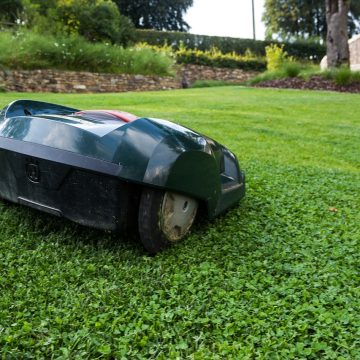 Robot koszący. Jaki wybrać?