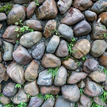 Jak wybrać idealne kamienie ozdobne do swojego ogrodu?