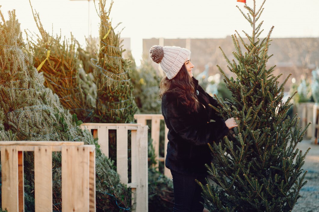 Jak dbać o świąteczne drzewko po przeniesieniu go na zewnątrz?